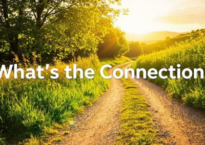 What’s the Connection?