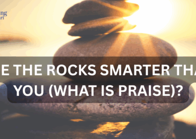 Are the Rocks Smarter than You (What is Praise)?